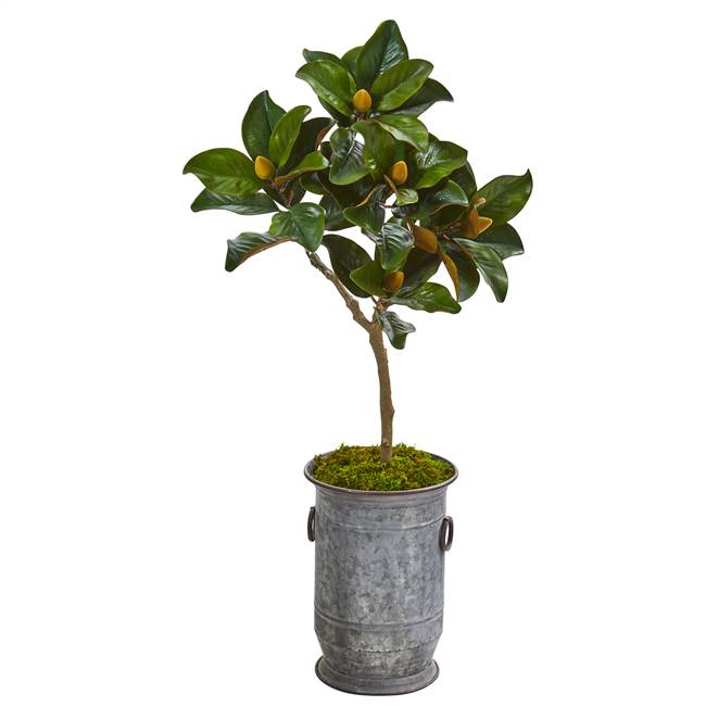 45” Magnolia Leaf Artificial Tree in Vintage Metal Planter