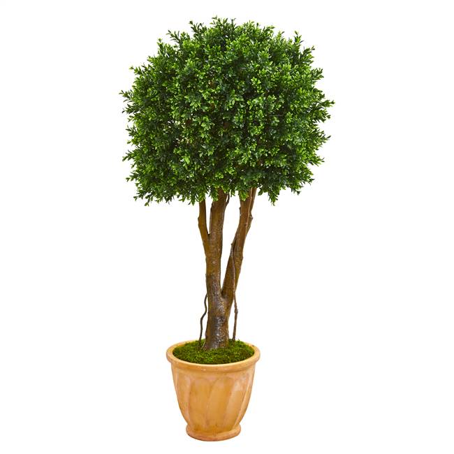 50” Boxwood Artificial Topiary Tree in Terra-Cotta Planter UV Resistant (Indoor/Outdoor)