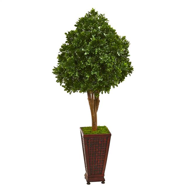 56” Tea Leaf Artificial Tree in Decorative Planter