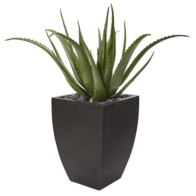 31” Aloe Artificial Plant in Black Planter