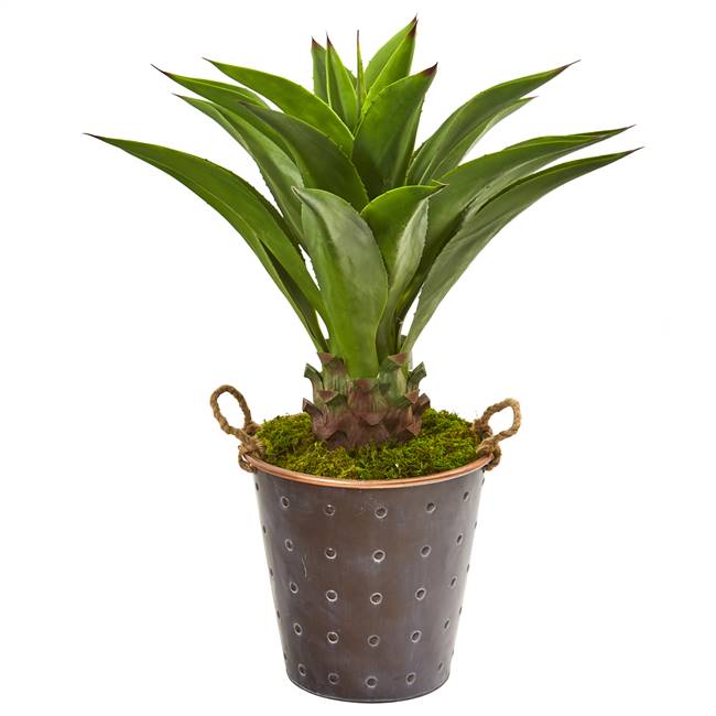 34” Agave Artificial Plant in Decorative Metal Pail with Rope