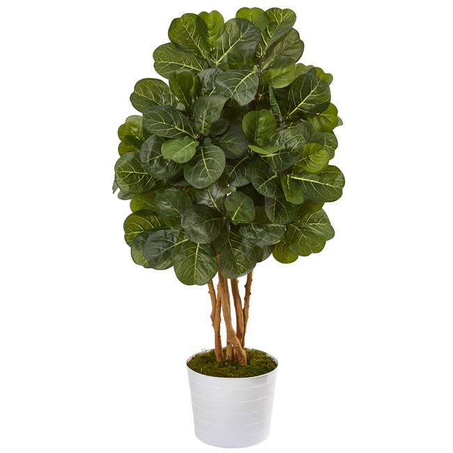 50” Fiddle Leaf Fig Artificial Tree in White Tin Planter