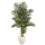 5.5’ Golden Cane Artificial Palm Tree In White Planter