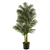 6’ Golden Cane Artificial Palm Tree In Black Tin Planter