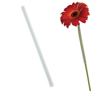 Flower Gerbera Straw