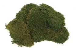 Dried Sheet Moss (3 Pounds)