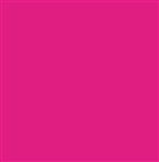 Design Master Fucshia Bright (12 oz)