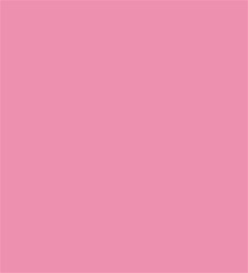 Design Master Perfect Pink (12 oz)