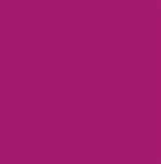 Design Master Fuschia (12 oz)