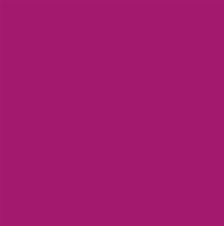 Design Master Fuschia (12 oz)