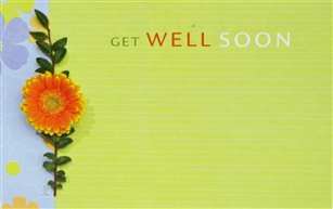 "Get Well Soon" Daisy Vine Enclosure Cards (pack of 50)