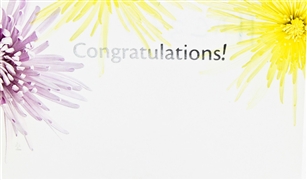 "Congratulations" Colored Mums Enclosure Cards (pack of 50)