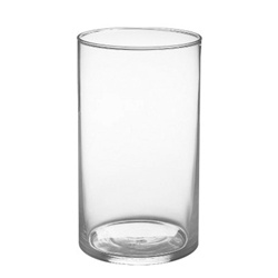 Cylinder Glass Vase 6x8