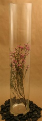 Cylinder Glass Vase 6x32
