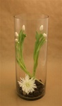 Cylinder Glass Vase 8x20