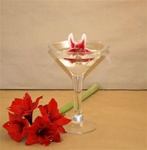 Martini Glass 12"