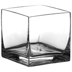 Cube Glass Vase 5x5x5