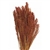 Hilander Grass, 1 pc/bunch, 26", Burnt Oak