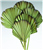 Palm Leaves, Burnt Tips, Light Green 5" x 20", 5pc/Bunch