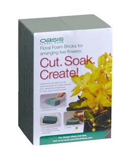 OASIS® Floral Foam Brick, 2 pack