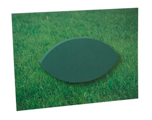 OASIS® Scenic Shape, Football, 1 pack