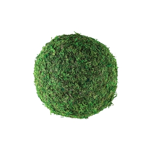 6" MOSS SPHERE, 12/CASE