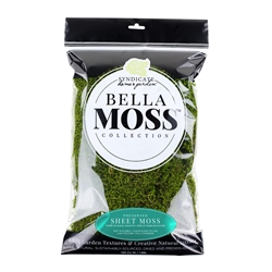 BELLA MOSS PRESERVED SHEET MOSS, 120 CU IN BAG, 12/CASE