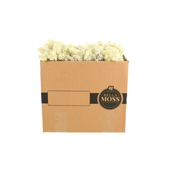 Reindeer Natural Color Moss Bulk 3 Pound Box