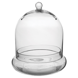 10" x 11 3/8" Terrarium Cloche, Crystal,  Pack Size: 4