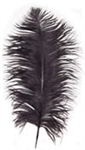 17-21" Ostrich Feathers - Black (1/2 Pound)