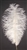 21-24" Ostrich Feathers - Bleached White (1/2 Pound)