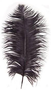 Ostrich Drabs 14-16" Dyed Black - Per 1/2 lb