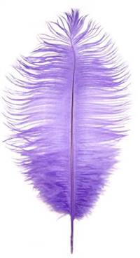 Ostrich Drabs 14-16" Dyed Lavender - Per 1/2 lb
