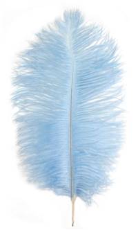 Ostrich Drabs 14-16" Dyed Light Blue - Per 1/2 lb