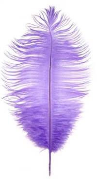 Ostrich Drabs 9-13" Dyed Lavender - Per 1/2 lb