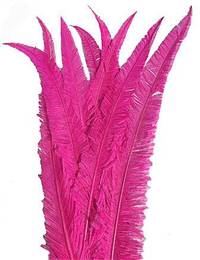 Ostrich Nandu 20-26" Dyed Fuchsia - Per 1/2 lb