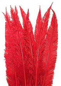 Ostrich Nandu 20-26" Dyed Red - Per 1/2 lb