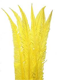 Ostrich Nandu 20-26" Dyed Yellow - Per 1/2 lb