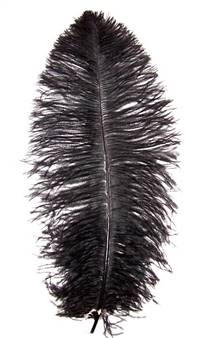 Ostrich Wing Plumes #1 - 18-24" Dyed Black - Per 1/4 lb