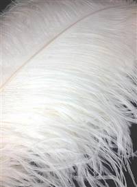 Ostrich Wing Plumes #1 - 17-22" Dyed Ivory - Per 1/4 lb