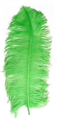 Ostrich Wing Plumes #1 - 18-24" Dyed Lime - Per 1/4 lb