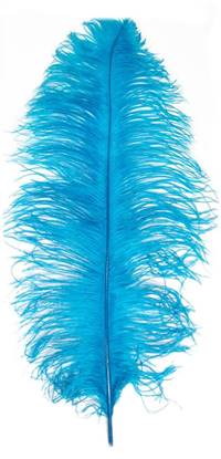 Ostrich Wing Plumes #1 - 18-24" Dyed Turquoise - Per 1/4 lb