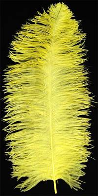 Ostrich Wing Plumes #1 - 18-24" Dyed Yellow - Per 1/4 lb