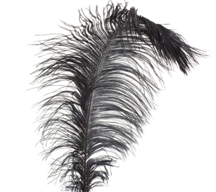 EXTRA LARGE, Ostrich Wing Plumes 25''-29'', Dyed Black (1/2 Pound)