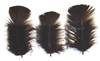 Loose Turkey T-Base 3-5" Dyed Black - Per lb