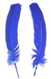 Turkey Rounds Dyed Royal Blue - Per lb