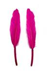 Duck Cochottes Dyed Fuchsia 3-4" - Per lb