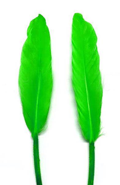 Duck Cochottes Dyed Green 3-4" - Per lb