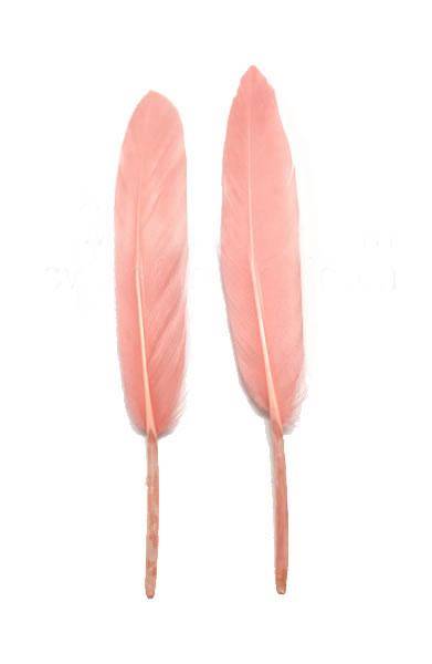 Duck Cochottes Dyed Pink 3-4" - Per lb