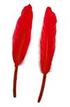 Duck Cochottes Dyed Red 3-4" - Per lb